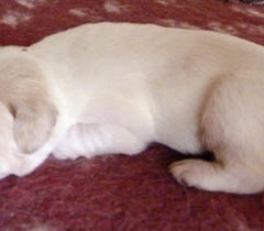 04Anna-en-Garm-Basi-21-12-11l