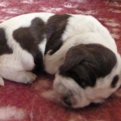 06Anna-en-Garm-r-m-reutje-21-12-11