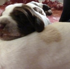 07Anna-en-Garm-Trui-21-12-11