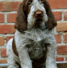 2004-isaura-barry-1