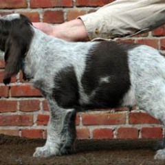 2004-isaura-barry-10