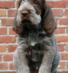 2004-isaura-barry-12