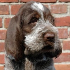 2004-isaura-barry-13