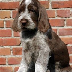 2004-isaura-barry-14