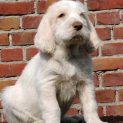 2004-isaura-barry-20