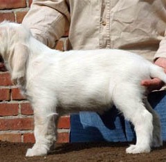 2004-isaura-barry-21