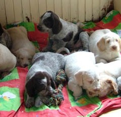 2004-isaura-barry-22