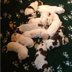 2004-isaura-barry-23