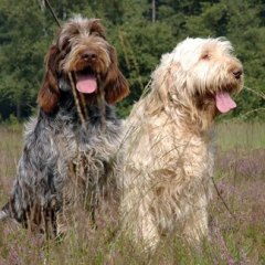 Barry-en-Ludo-aug.-2005