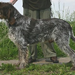 barry1