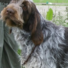 barry2