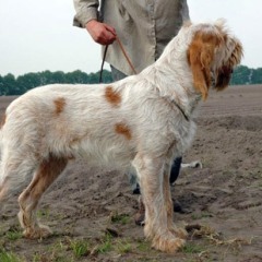 bram14