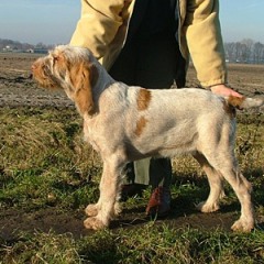 bram9