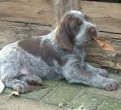 38Luca-16-01-08