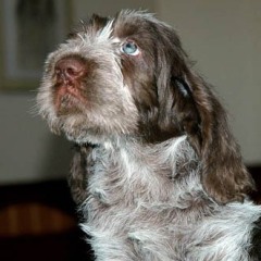 47Klaartje-22-1-08