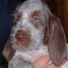 Keetie-22-01-04-1