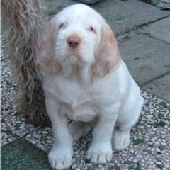 Lola-19-01-04-1