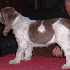 Lucy-22-01-04