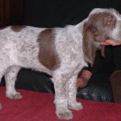 keetie-stand-22-01-04-1