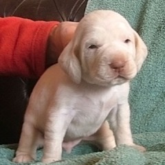 03-1-week
