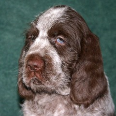 08-Frederico-hoofd-29-12-2006