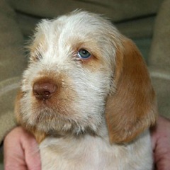 09-Gina-hoofd-29-12-2006