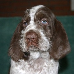 12-Ornella-hoofd-29-12-2006