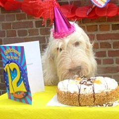 charlie11
