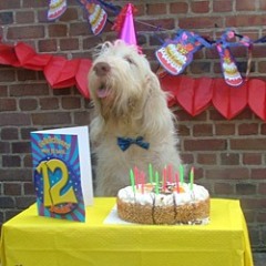 charlie12