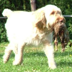 charlie13