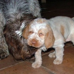 07Aprilia-met-Fientje-17-12-09