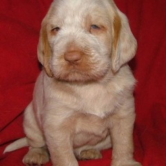 14Luna-7-12-09