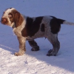 16Garm-stand-03-01-10