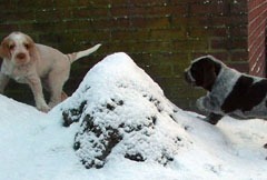 18Garm-en-Luna-03-01-10