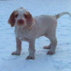 20Luna-3-01-10