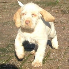 1_Silfide-Fientje-19-03-08