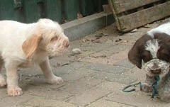 Floris-13-03-08