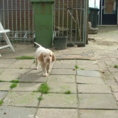 Lisa-15-3-08