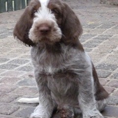 12Aiko12-03-2011