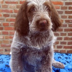 Floor-17-07-2010