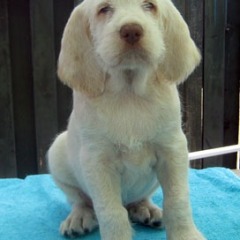 Lucas-9-07-2010