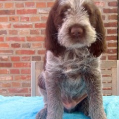 Rico-juli-2010-002