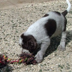 06Bruine-meisje-Floortje-19-06-09