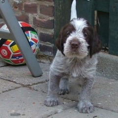 08het-bruine-meisje-van-Floortje-19-06-09