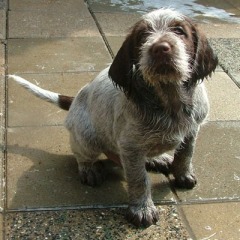 Guus-30-06-09