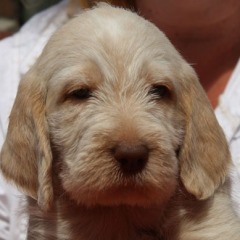 Keeke-21-06-09