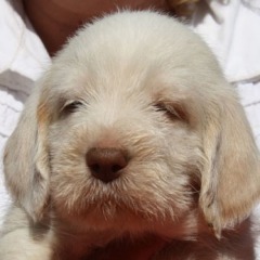 Luca-w-o-21-06-09