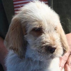 Cato-5-05-09