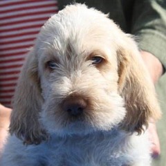 Fidel-5-05-09