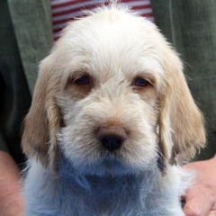 Olivier-05-05-09